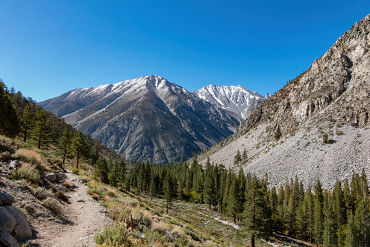 Beautiful Landscape Around Big Pine Creek Trail