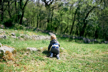 Small child crawls along a green lawn. Back view