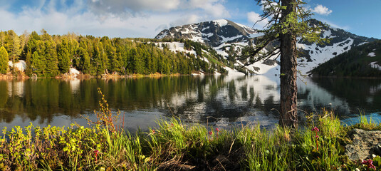 Taiga lake in Altai mountains, snow on the slopes