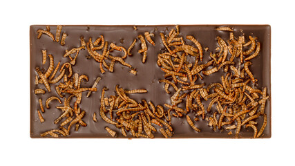 French chocolate bar filled with edible insects approved for consumption in Europe, mealworms Tenebrio molitor, close up isolated on white background.