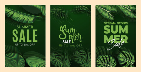 Summer Sale Banner With Tropical Leaves Background. Vector Illustration