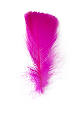 Beautiful pink magenta feather isolated on white background