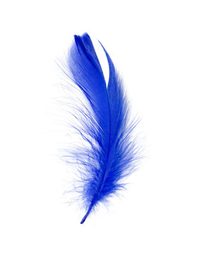 Navy Blue Feathers Images – Browse 9,660 Stock Photos, Vectors