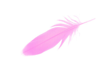 Beautiful light pink feather isolated on white background