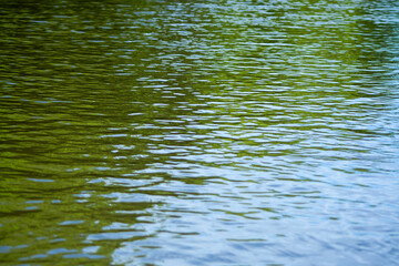 ripple green water texture with reflections of the trees. River surface background texture pattern