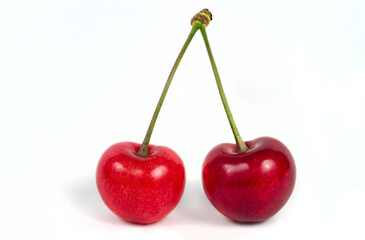 Two cherries on a white background. Red cherries with a shank close-up. One of the cherries has a lighter shade. 