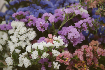 floral workshop, creating flower arrangements