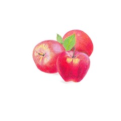 Three apples drawing with color pencil. Hand drawing.