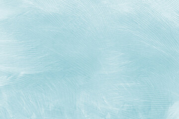 Beautiful  blue turquoise vintage color trends feather pattern texture pastel background