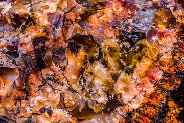 Obraz na płótnie Canvas Petrified Wood Rock Log Abstract National Park Arizona