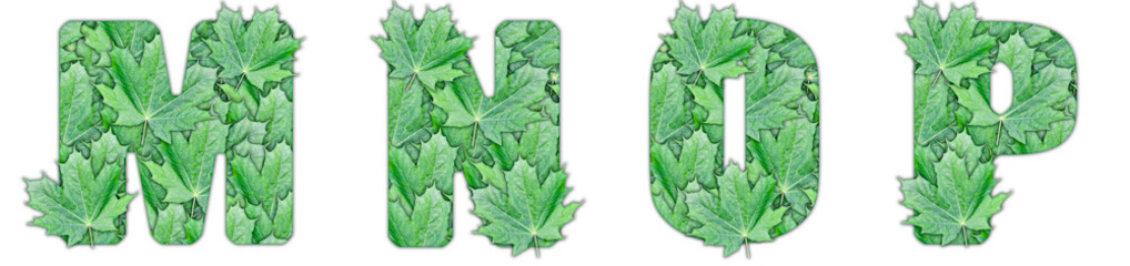 The letters M, N, O, P are made of green maple leaves