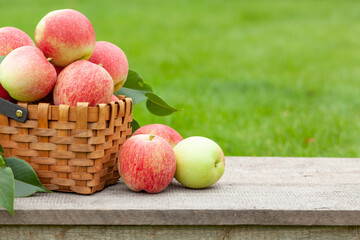 Ripe garden apple fruits in basket