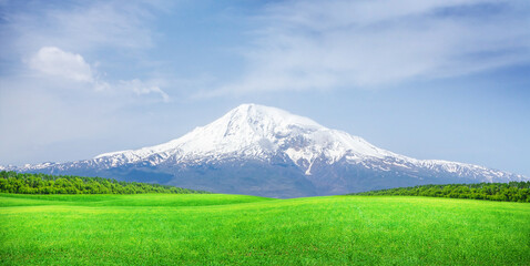 Green grass field in front of Ararat mountain in snow