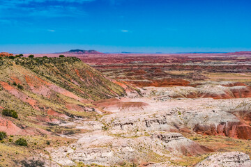 Tawa Point Painted Desert Petrified Forest National Park Arizona