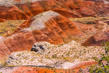 Tawa Point Painted Desert Petrified Forest National Park Arizona