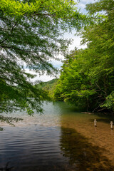 View of Moshi pond in Sanda, Hyogo, Japan