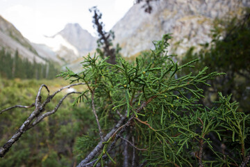 Mountains in Kyrgyzstan. Tien Shan 