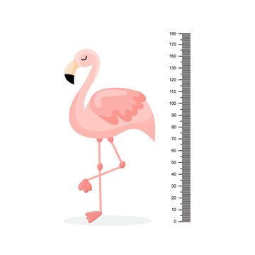 Kids height chart and flamingo. Exotic bird with pink feathers, yellow beak and long thin legs. Wall decor for children room. Flat vector