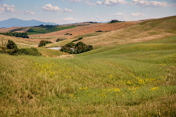 Fototapeta na wymiar Panoramic view of green and fields of Asciano area at harvest time, Siena Province, Tuscany, Italy