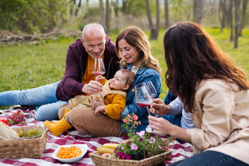 Happy multigeneration family outdoors having picnic in nature.