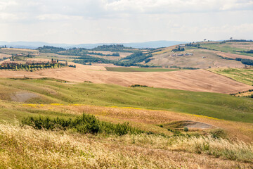 Fototapeta na wymiar Panoramic view of traditional Tuscany landscapes, Siena Province, Tuscany, Italy