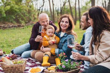 Happy multigeneration family outdoors having picnic in nature.