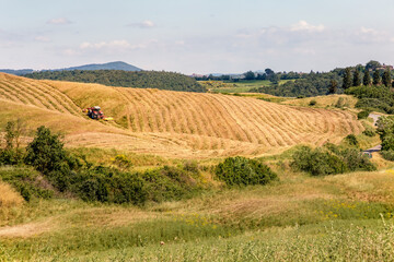 Fototapeta na wymiar Agricultural panoramic view of Asciano area during harvest time, Siena Province, Tuscany, Italy