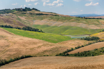 Fototapeta na wymiar Agricultural panorama of Asciano area during harvest time, Siena Province, Tuscany, Italy