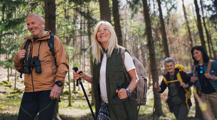 Group of seniors hikers outdoors in forest in nature, walking.