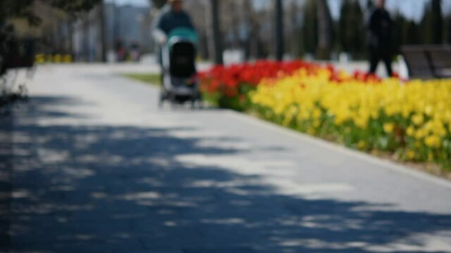 Blurry background of people in the park. Colorful flower bed with tulips in bright sunlight. Strangers walk slowly along the paths. A light breeze stirs the spring flowers. Warm day, good weather.