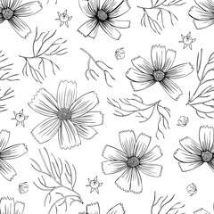 Seamless floral pattern,Kosmos flower, Kosmeya hand drawn illustration, wild flower astra isolated on white backround, decorative backdrop design for greeting card, wedding invitation, cosmetic