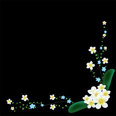 Plumeria bouquet and leaves with branches on a black background Vector work for design, use it in the corner.