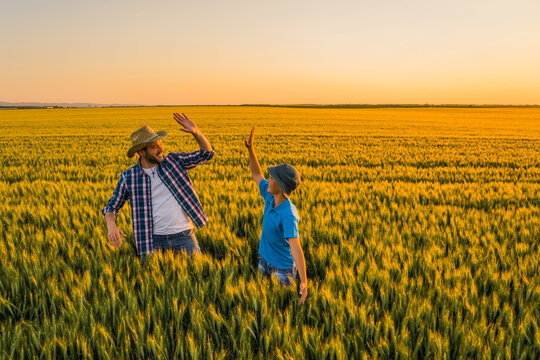 Father and son are standing in their growing wheat field. They are happy because of successful sowing.