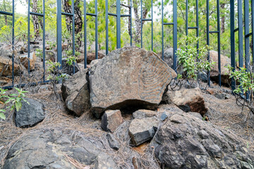 Ancient petroglyph on the island of La Palma, Canaries, Spain