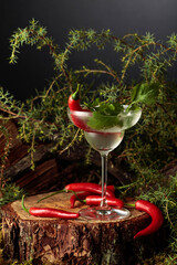 Gin and Tonic cocktail with red pepper and coriander.