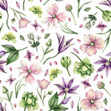 Pink and green floral pattern with tulip, anemones and climatis flowers hand drawn in watercolor. Seamless botanical background in vintage style. Texture for fabric, paper