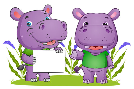 The couple of hippopotamus is holding a blank board and explaining the board