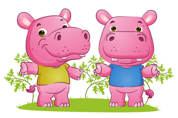 The couple of the sweet hippopotamus is dancing with the different posing in the garden