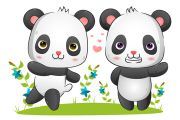 The couple of panda is running and playing in the park together