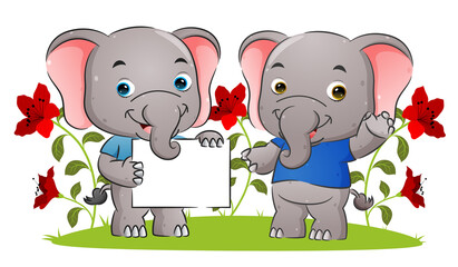 The little couple elephant is holding a blank poster and presenting in the garden
