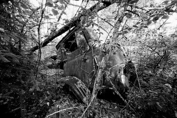 Old English made lorry forgotten into forest in Southern Finland.