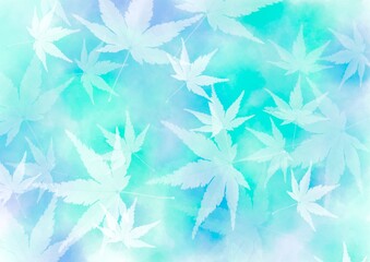 もみじ　夏イメージ