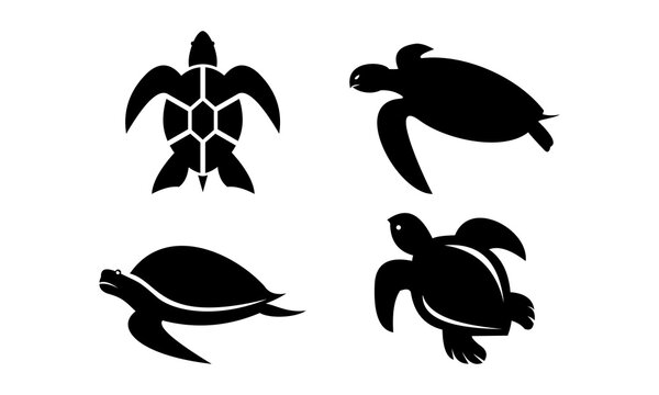 set template logo animal turtle