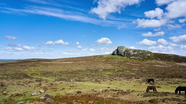 Slow panning timelapse of Haytor rock formation on Dartmoor with wild ponies on a bright sunny day. Devon, England, UK