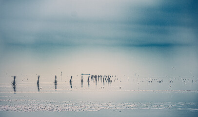Meditation am Strand von Cuxhaven an der deutschen Nordseeküste mit Panorama Poster bei Ebbe und...