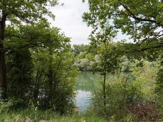 Rundwanderweg. Idyllische Rheinlandschaft entlang Altrhein zu den Isteiner Schwellen