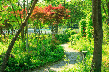 a well-cultivated garden that grows thick with trees.