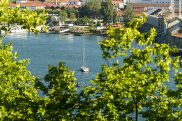 Fototapeta premium Sunset in beautiful city of Porto from Portugal. View from above with the entire cityscape during a summer day. Landmarks of Europe.