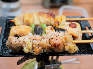 山でキャンプで調理するミニ鉄板焼肉【焼き鳥】