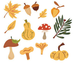 Set of autumn nature elements. Forest objects: Leaves, mushrooms, acorns, pumpkins. Fresh farm. Harvest elements. Vector illustration in cartoon style